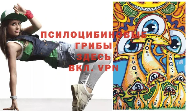 героин Абаза